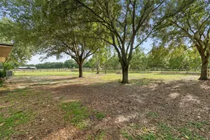 336 Corbett Rd, Lithia, FL 33547 - Photo 38