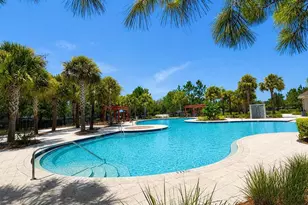 15406 Feather Star Pl, Ruskin, FL 33573 - Photo 38