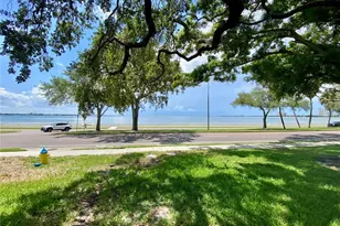 2403 S Ardson Pl, Tampa, FL 33629 - Photo 66