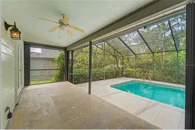 3408 Arcadia Drive, Palm Harbor, FL 34684 - Photo 46