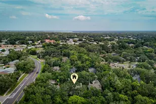 3408 Arcadia Dr, Palm Harbor, FL 34684 - Photo 54