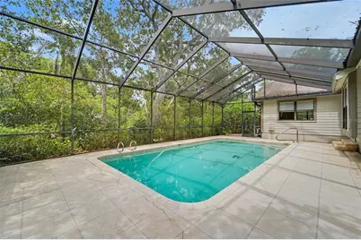 3408 Arcadia Drive, Palm Harbor, FL 34684 - Photo 38