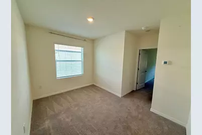 34309 Sorrel Mint Drive, Wesley Chapel, FL 33543 - Photo 12