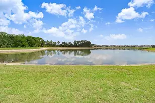11520 Blue Woods Dr, Riverview, FL 33569 - Photo 32