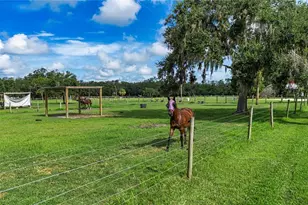 3309 Yellowknife Cir, Wimauma, FL 33598 - Photo 74