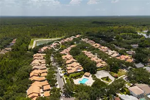 17557 Fairmeadow Dr, Tampa, FL 33647 - Photo 62