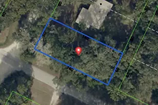0 Jenkins Ave, Masaryktown, FL 34604 - Photo 1
