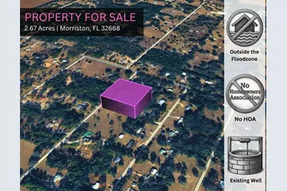 Se 194th Court, Morriston, FL 32668 - Photo 16