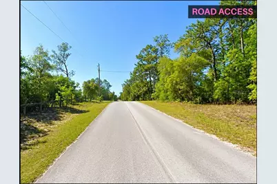 Se 194th Court, Morriston, FL 32668 - Photo 4