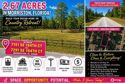 Se 194th Court, Morriston, FL 32668 - Photo 1