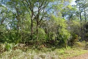 [Address not provided], Crystal River, FL 34428 - Photo 1