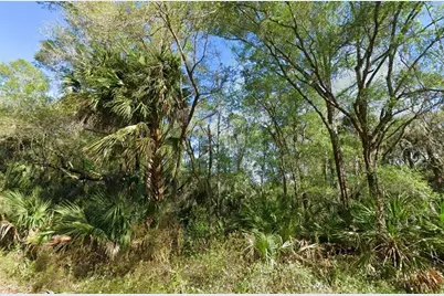 [Address not provided], Crystal River, FL 34428 - Photo 2