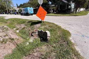 3702 Ohio Ave, Tampa, FL 33611 - Photo 16