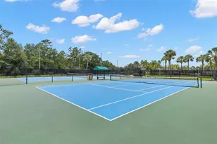 20405 Autumn Fern Ave, Tampa, FL 33647 - Photo 56