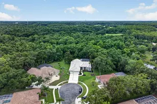3874 Crescent Cove Pl, Tarpon Springs, FL 34688 - Photo 74