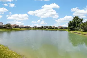 31142 Lindentree Dr, Wesley Chapel, FL 33543 - Photo 32