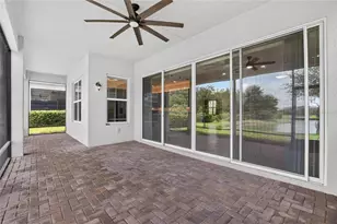 31142 Lindentree Dr, Wesley Chapel, FL 33543 - Photo 28