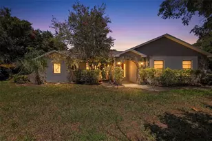 10028 Kenda Dr, Riverview, FL 33578 - Photo 2