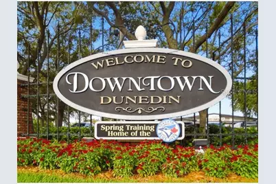 180 Sky Loch Drive W, Dunedin, FL 34698 - Photo 40