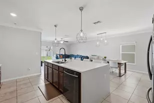 17204 Yellow Pine St, Wimauma, FL 33598 - Photo 12