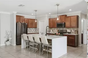 17204 Yellow Pine St, Wimauma, FL 33598 - Photo 8