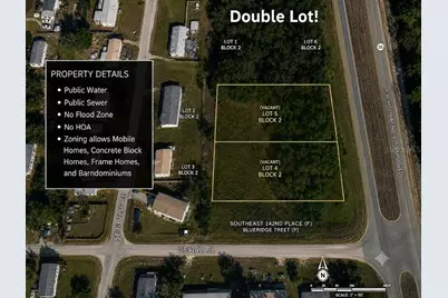 Corner SE 142nd Place & S US Hwy 301, Summerfield, FL 34491 - Photo 2