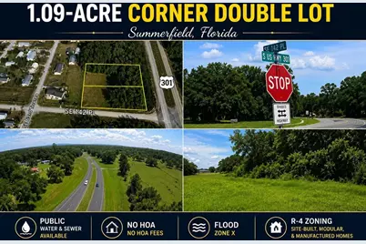 Corner SE 142nd Place & S US Hwy 301, Summerfield, FL 34491 - Photo 1
