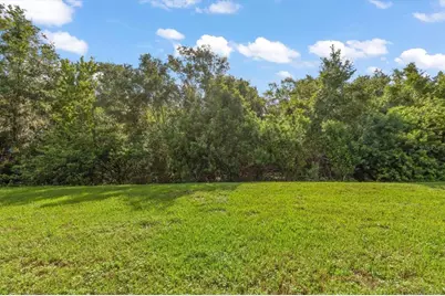 4422 Havelocke Drive, Land O Lakes, FL 34638 - Photo 30
