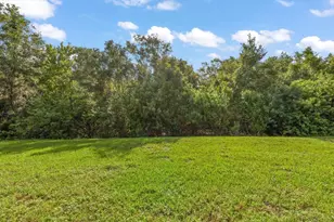 4422 Havelocke Dr, Land O Lakes, FL 34638 - Photo 30