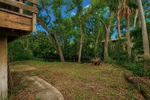 707 George St S, Tarpon Springs, FL 34688 - Photo 12