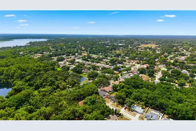 3040 Windridge Oaks Drive, Palm Harbor, FL 34684 - Photo 42