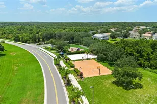 9530 Nathaniel Ln, Land O Lakes, FL 34638 - Photo 52