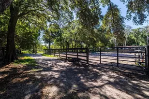 8701 64th St N, Pinellas Park, FL 33782 - Photo 92