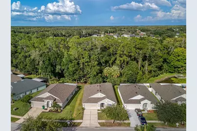 25342 Lexington Oaks Boulevard, Wesley Chapel, FL 33544 - Photo 46