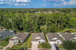 25342 Lexington Oaks Blvd, Wesley Chapel, FL 33544 - Photo 46