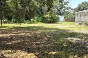30517 Clearview Dr, Wesley Chapel, FL 33545 - Photo 12
