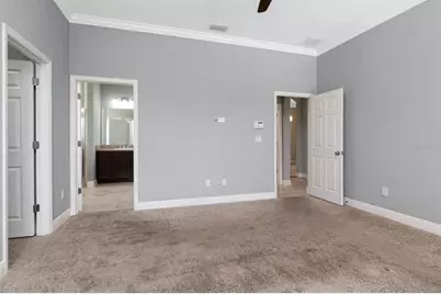8703 Alafia Hills Drive, Plant City, FL 33567 - Photo 36