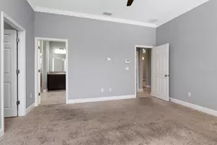 8703 Alafia Hills Dr, Plant City, FL 33567 - Photo 36