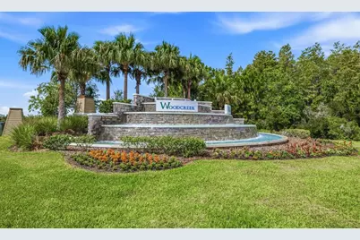 2541 Bending Bonsai Drive, Wesley Chapel, FL 33543 - Photo 22