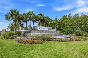 2541 Bending Bonsai Dr, Wesley Chapel, FL 33543 - Photo 22