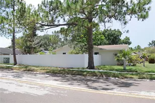 8002 Woodvine Pl, Tampa, FL 33615 - Photo 4