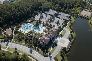 4459 Tramanto Ln, Wesley Chapel, FL 33543 - Photo 38