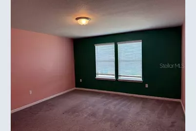 30169 Skylark Drive, Wesley Chapel, FL 33545 - Photo 10
