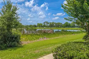 10409 Crimson Park Ln, Tampa, FL 33626 - Photo 46