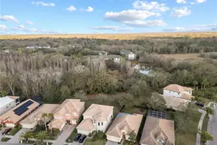 10888 Cory Lake Dr, Tampa, FL 33647 - Photo 48