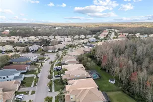 10888 Cory Lake Dr, Tampa, FL 33647 - Photo 52