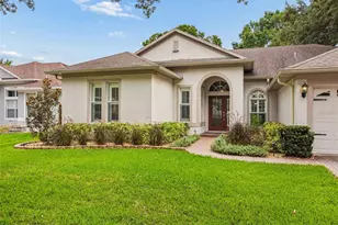 3825 Misty Landing Dr, Valrico, FL 33594 - Photo 60