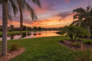 15929 Golden Lakes Drive, Wimauma, FL 33598 - Photo 4