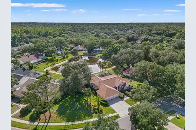 15923 Ellsworth Drive, Tampa, FL 33647 - Photo 68
