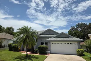 770 Wildflower Dr, Palm Harbor, FL 34683 - Photo 4
